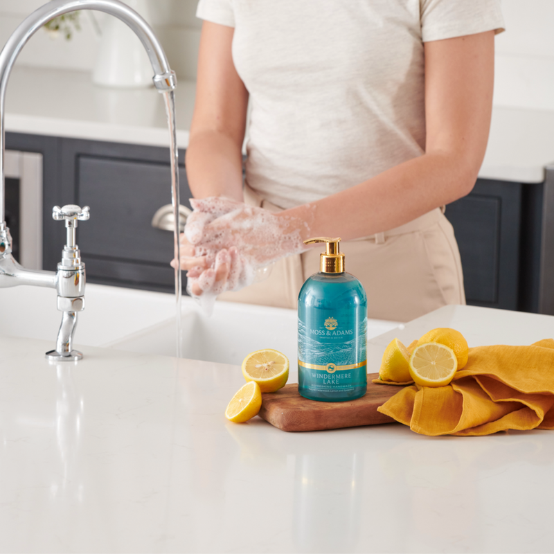 Windermere Lake Hand Wash